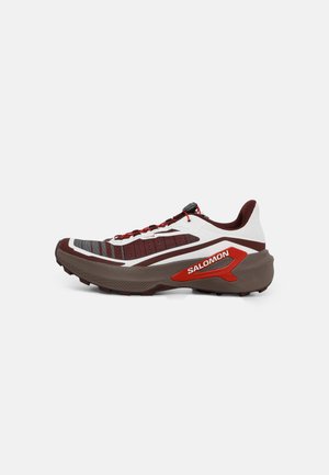 Salomon, GENESIS - Trail running shoes - vanilla ice/iron/lava falls