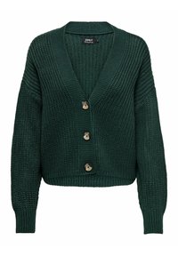 ONLCAROL NICE - Cardigan - green gables
