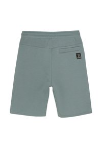 Ljusgröna shorts i mjukt material, med en elastisk midja och en bakficka med en svart logotagg. Rent, enkelt design.