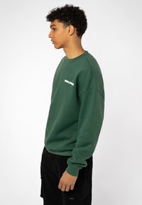 Groene sweatshirt met een ronde hals, raglanmouwen en een wit "WORLDWIDE" logo op de borst. Zachte stof, losse pasvorm en geribbelde mouwen.