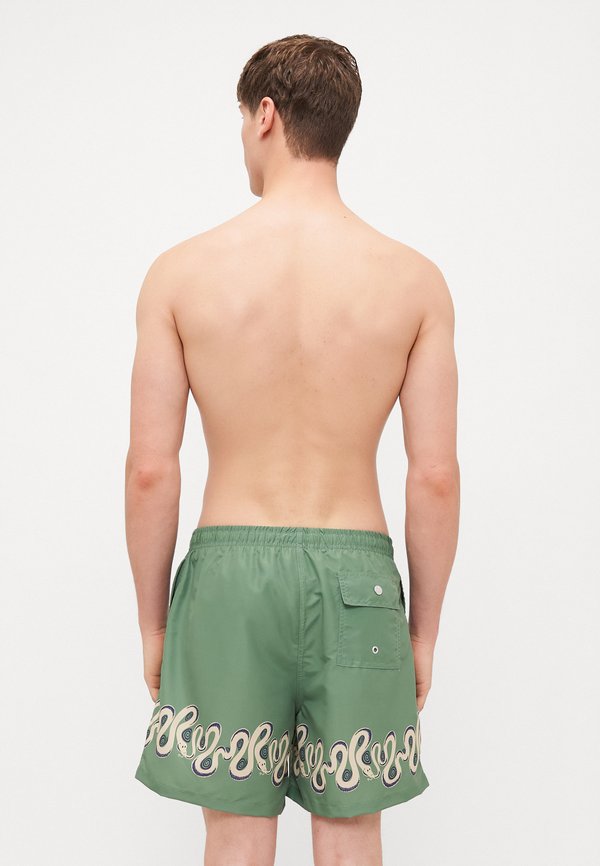 IVY DIZZY BOA  NOVELTY PRINTED SWIM TRUNKS - Swimming shorts3