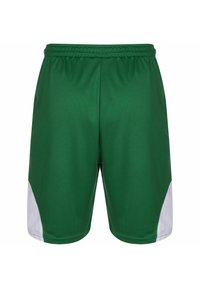 Grüne Sportshorts mit elastischem Bund und weißen dreieckigen Seitenpaneelen, vor einem weißen Hintergrund präsentiert.