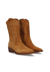 Botas de tobillo de ante marrón con puntas afiladas, costuras decorativas y cremalleras laterales. Los tacones cortos y apilados realzan el diseño.