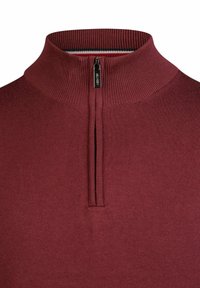 Weinroter Strickpullover mit einem gerippten Stehkragen und einem schwarzen Reißverschluss, der bis zur Hälfte der Vorderseite reicht.