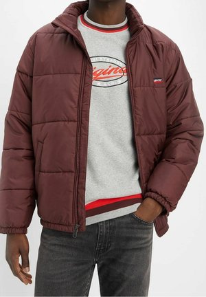 Homme portant une doudoune bordeaux par-dessus un sweat-shirt Levi's gris avec ourlet rayé rouge et noir et un jean gris foncé, une main dans la poche.