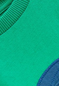Next CHARACTER STANDARD - Langærmet T-shirt - green dragon