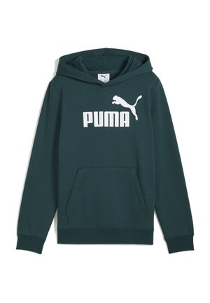 LOGO - Sweat à capuche - green terrain