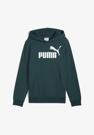 LOGO - Hoodie - green terrain