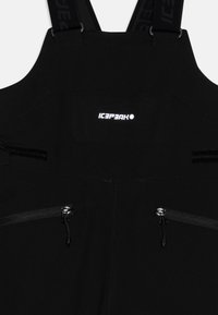 Icepeak LOURDES  - Skibukse - black
