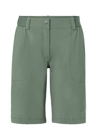 FARLEY STRETCH II - Outdoor Shorts - agave