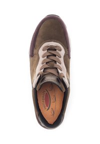 Brown suede sneaker with a beige suede overlay, light brown laces, padded collar, and a textured rubber sole. Features "rollingsoft" branding inside.