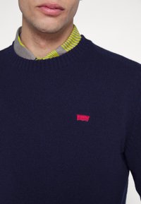 Homme portant un pull bleu marine sur une chemise rayée grise et jaune avec col, avec un petit logo rouge sur la poitrine du pull.
