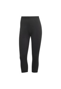 Adidas Terrex XPERIOR MERINO 200 BASELAYER - Leggings - black