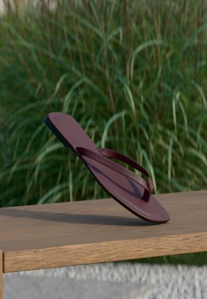 Une seule tong marron foncé en équilibre debout sur un banc en bois avec de l'herbe haute verte en arrière-plan.