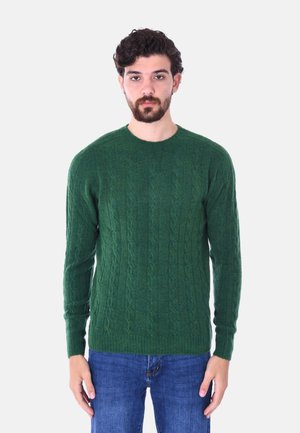 Maglione verde a treccia lavorato a maglia con collo rotondo, realizzato in morbida lana, caratterizzato da motivi testurizzati e maniche lunghe, abbinato a jeans blu.