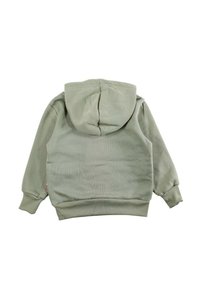 Sweat à capuche vert clair, en coton doux, poche kangourou à l'avant, poignets et ourlet côtelés, doté d'une grande capuche arrondie.