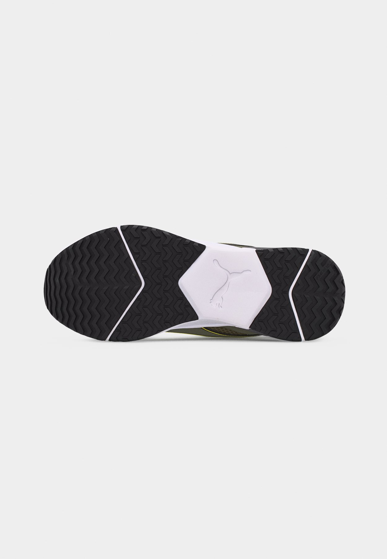 DISPERSE XT 4