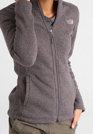 Osoba ubrana w szarą polarową kurtkę zapinaną na zamek z logo The North Face na piersi i rękami blisko kieszeni.