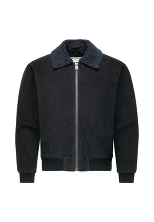 ALEES - Overgangsjakke - dark grey