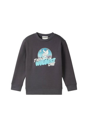 Donkergrijze sweatshirt met een grote afbeelding van een ijsbeer op een ijzige berg, met de tekst "DE WILDSTE" in vetgedrukte blauwe letters. Katoenmengsel textuur.