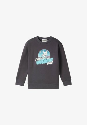 Donkergrijze sweatshirt met een grote afbeelding van een ijsbeer op een ijzige berg, met de tekst "DE WILDSTE" in vetgedrukte blauwe letters. Katoenmengsel textuur.