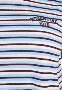 Triibuline T-särk, millel on vahelduvad helesinised, valged ja tumedatpruunid triibud. Kaasas musta värviga tikkidega tekst "ESSENTIAL 1978".