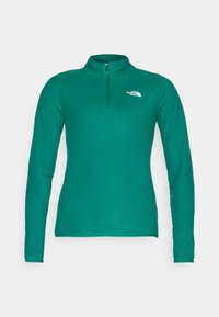 100 GLACIER 1/4 ZIP - Fleecetrøjer - evergreen