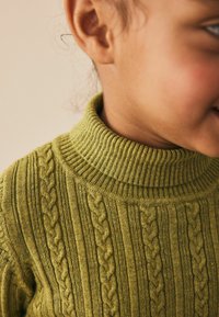 Grüner, strukturierten Pullover mit hohem gerippten Kragen, der vertikale Rippen und Zopfmuster aufweist. Nahaufnahme des Halsausschnitts.