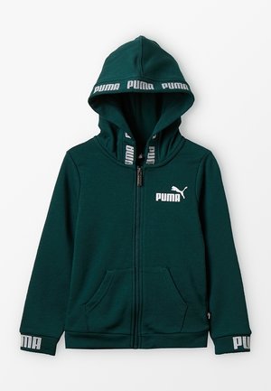 AMPLIFIED HOODED JACKET - Felpa con zip - ponderosa pine