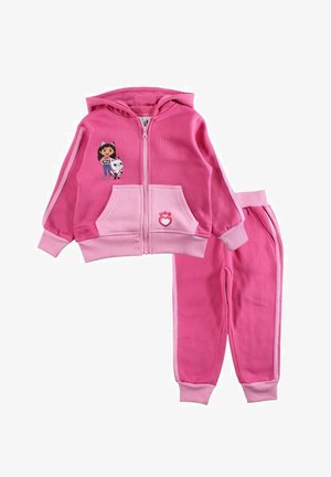 Ensemble sweat à capuche rose et pantalon assorti, fabriqué en tissu doux. Le sweat à capuche comporte une fermeture éclair à l'avant, des poches et un motif graphique représentant une fille avec un animal de compagnie.
