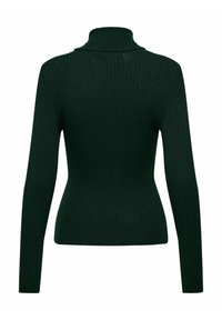 ONLY ONLKAROL ROLL NECK - Jumper - scarab
