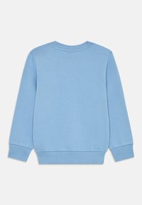 Light blue sweatshirt with long sleeves, ribbed cuffs, and a crew neckline. Soft texture with no discernible patterns or accents.
