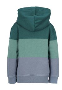 Huvtröja med en färgblockerande design i mörkgrön, teal och ljusgrå. Tillverkad av mjukt tyg med ribbade muddar och nederkant.