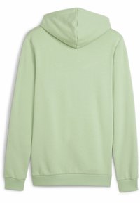 Sudadera con capucha verde menta, con un bolsillo tipo canguro, puños acanalados y capucha con cordón. Textura lisa sin patrones ni logotipos visibles.