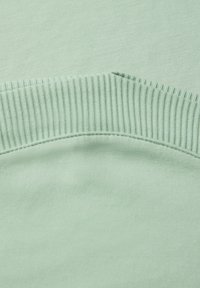 Mintgrøn sweatshirt med en blød tekstur, ribbede manchetter og en buet kant, der fremviser et enkelt, afslappet design.