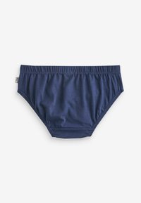 Next 10 PACK STANDARD - Kratke gaće - blue tonal