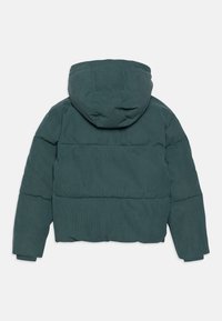 Calvin Klein Jeans HOODED PUFFER - Ziemas jaka - north atlantic