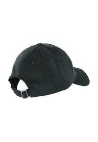 Iriedaily CORVIN DAD - Cappellino - hunter