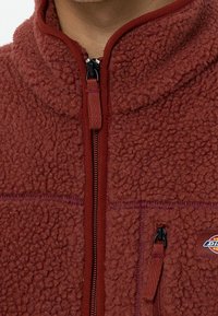 Dickies Giacca in pile - orange