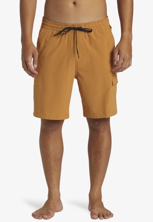 TAXER 19- AMPHIBIAN BOARD - Swimming shorts - cmt