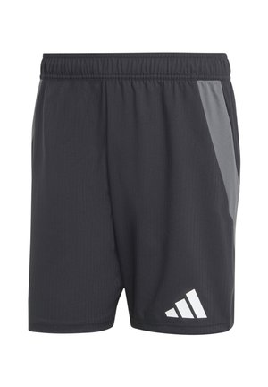 Shorts de sport noirs avec un accent gris sur le côté, taille élastique, fabriqués en tissu léger, avec un détail de logo blanc.