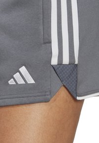 Graue Sportshorts mit einem weißen Dreizeilen-Design, ausgestattet mit einem gestickten Logo und einem strukturierten Einsatz am Saum.