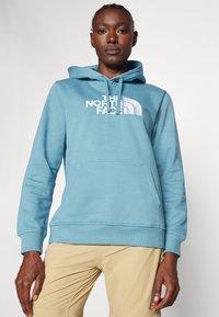 The North Face W DREW PEAK REGULAR HOODIE - Felpa con cappuccio - algae blue