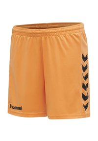 Oranga sportshorts med en slät yta, elastisk midja och svarta chevron-accenter på sidorna. Logotyp tryckt i svart.