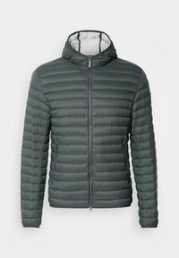 MENS JACKET - Dunjakker - botanical/ice