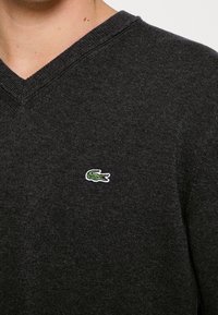 Pull noir à col en V en tissu tricoté, avec un petit logo crocodile vert brodé sur la partie gauche de la poitrine.