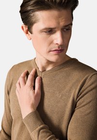 Brązowy sweter z długim rękawem w serek, wykonany z miękkiego dzianiny, z prążkowanymi mankietami i subtelnym logo na piersi, z teksturowanym wykończeniem.