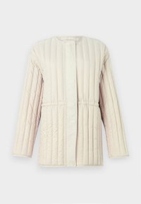 SUPER QUILTED JACKET - Down jacket - silver lining