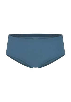 Culotte hipster pour femmes de couleur bleu clair, fabriquée en tissu lisse avec une large ceinture, présentant des coutures minimales et sans motifs visibles.