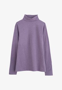 Wybrany, purple echium